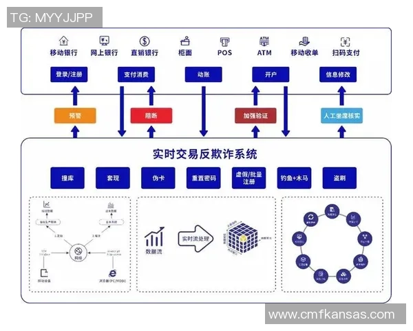 大数据处理在风控与商业智能领域的应用与发展探讨